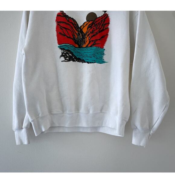 Vtg 90s HELLS CANYON Outdoor Nature Park Pullover Graphic Sweatshirt Hanes Sz XL - Picture 3 of 8